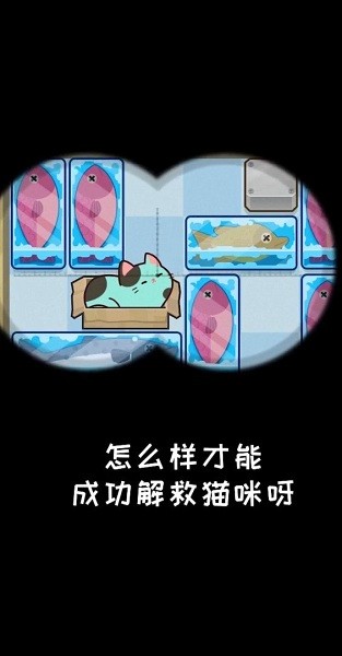 推推猫最新版下载截图1