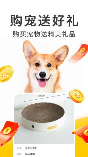 买只宠物官方版下载截图1